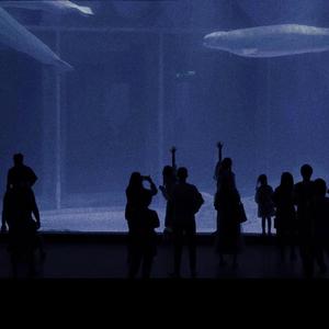 女人到达巅峰高清在线
