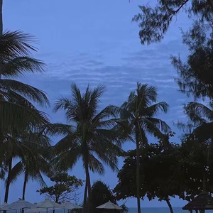 女人到达巅峰高清在线
